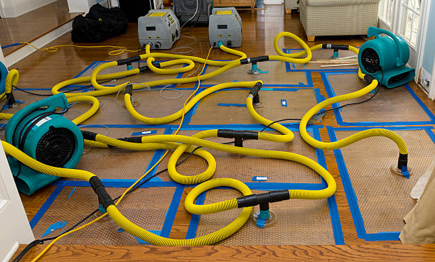 Professional Water Damage Repair technician working in Richardson, TX